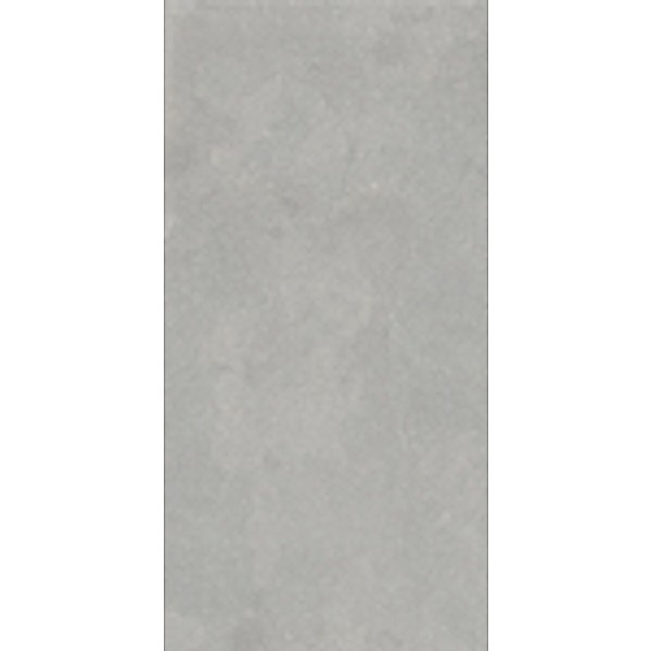 Bio Concrete Artic, Matte, 12x24 Porcelain Tile