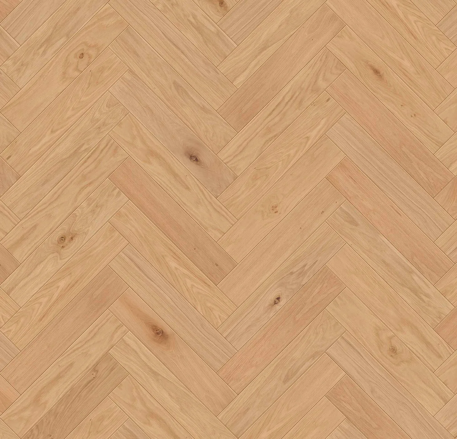 Sella
