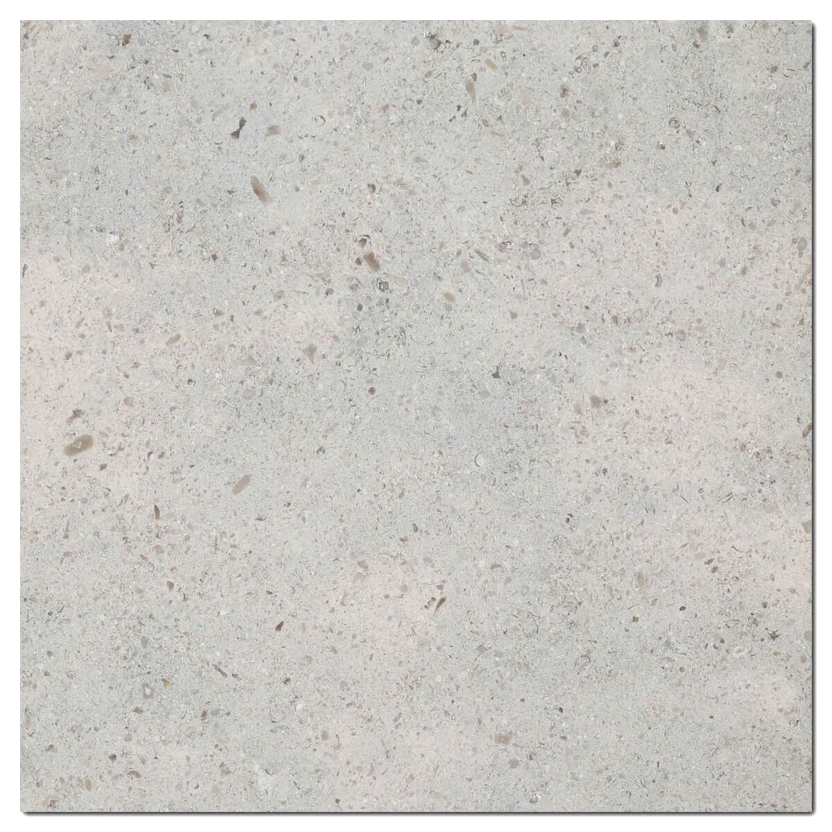 Gascogne Blue