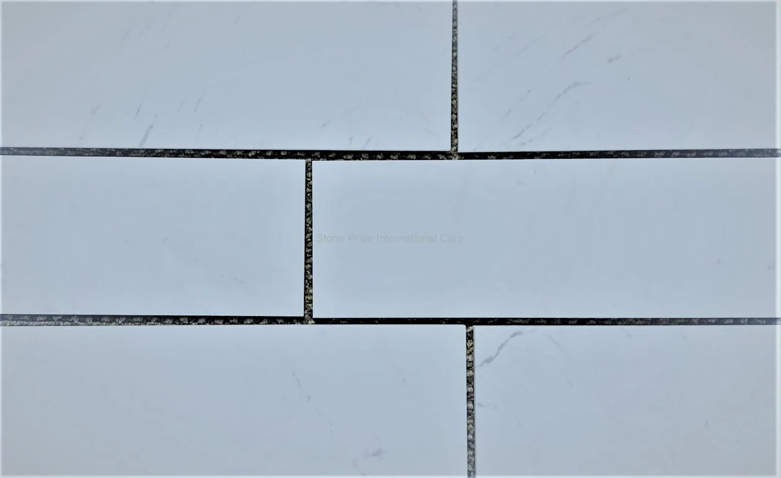 Contempo Calacatta Marble Tile