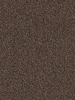 Chivalry 20 BL 3033B Broadloom Carpet in Justice color, 12ft wide, made from high-quality materials