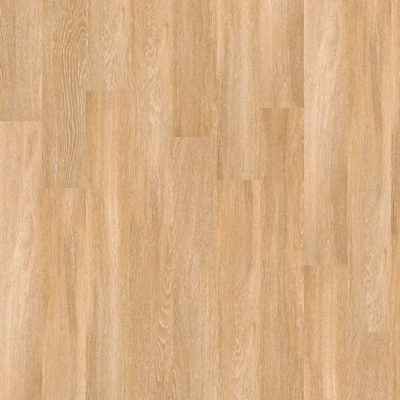 Columbia 6
