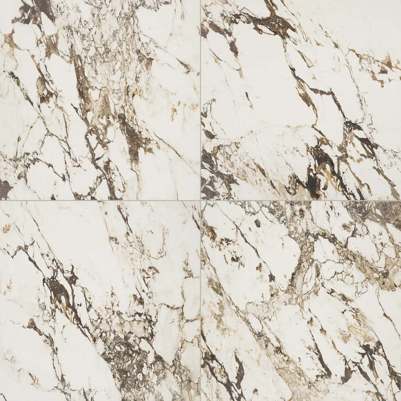 Daltile Panoramic Duet Calacatta Aries