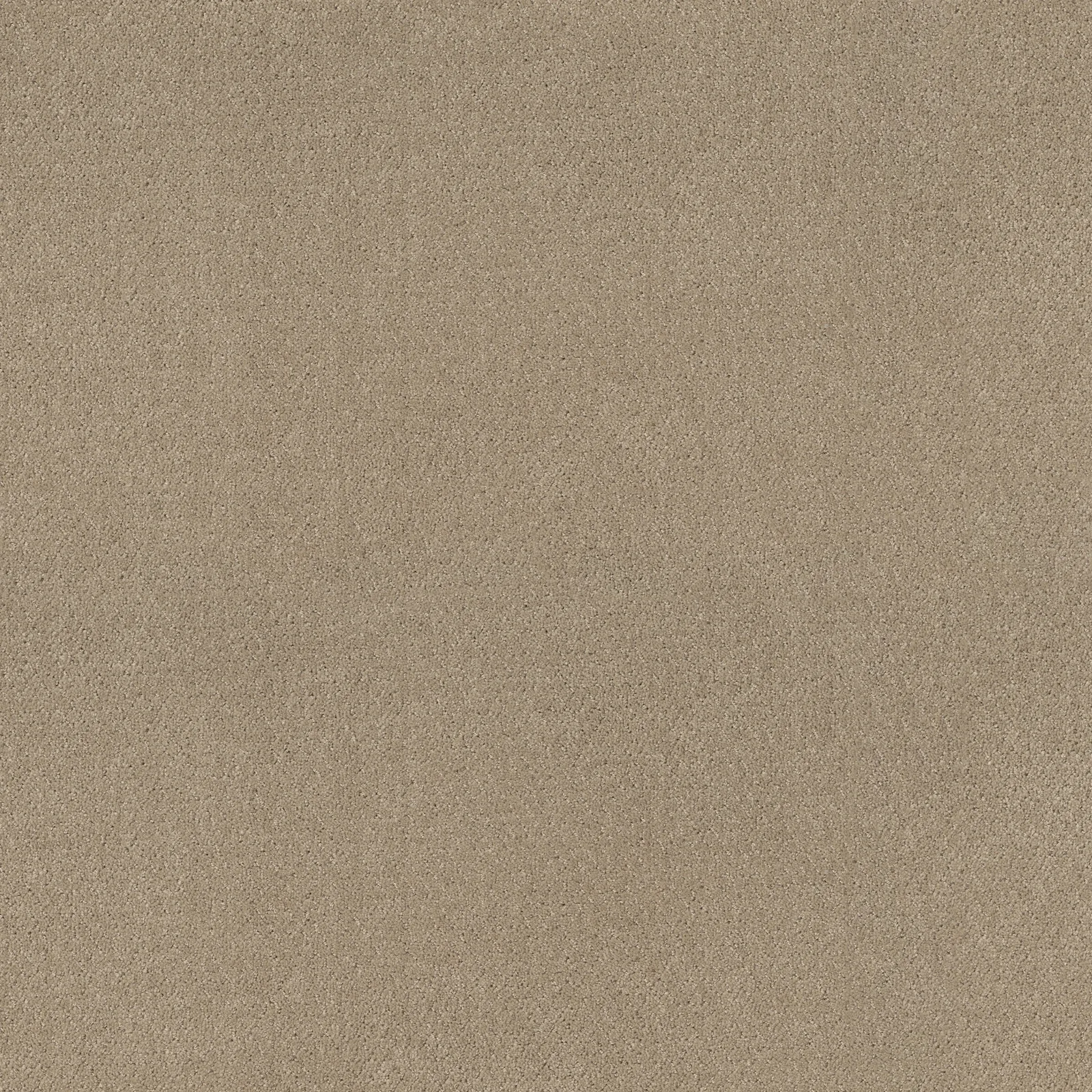 Simply Classic 5E578 Broadloom Carpet in Natural color, made of 100% PET fiber, 12ft wide, 125ft roll.