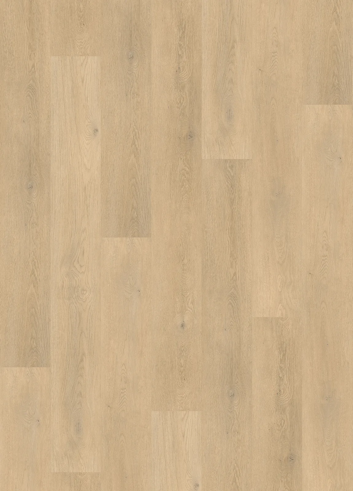 White Oak