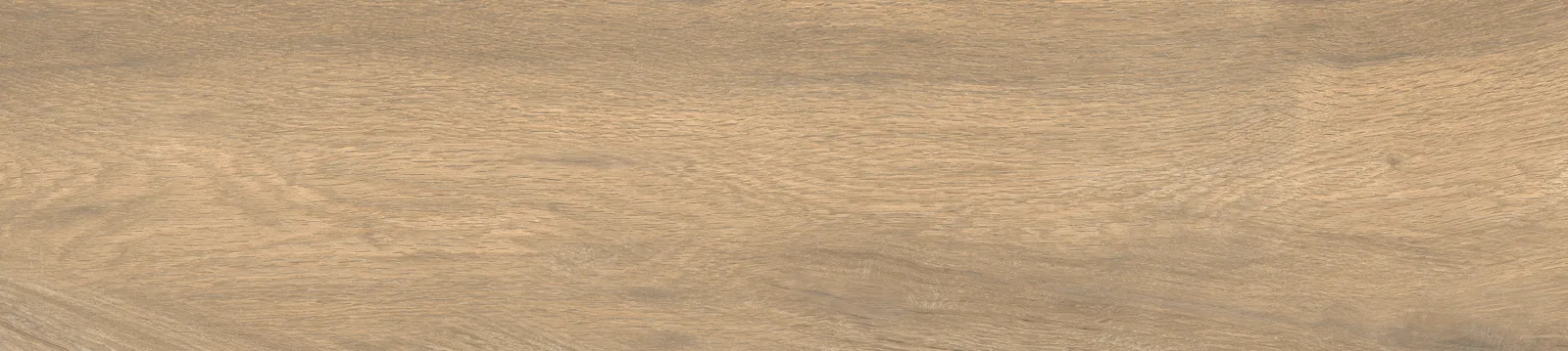 Nogal