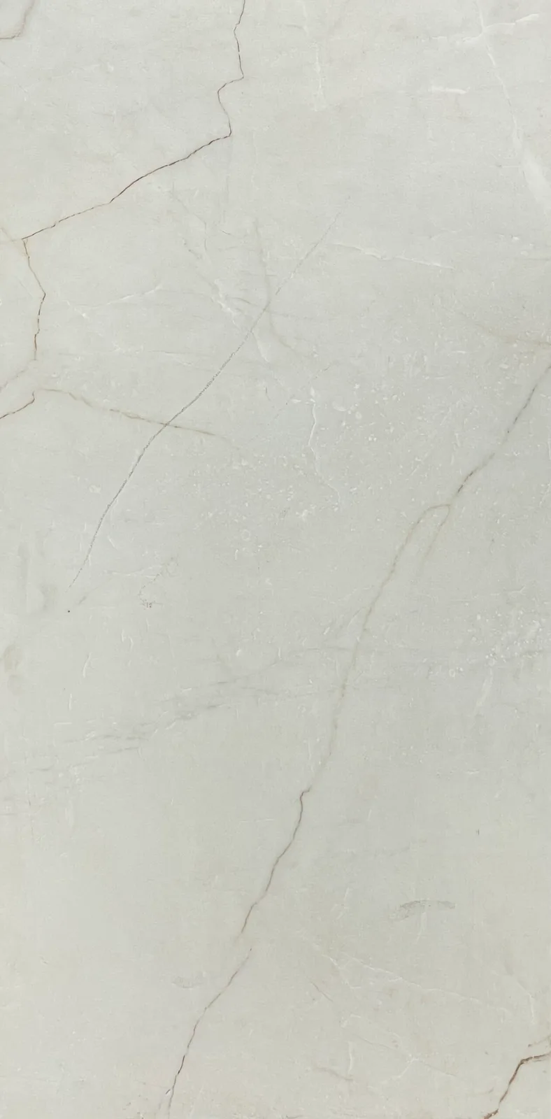 Segesta Ivory