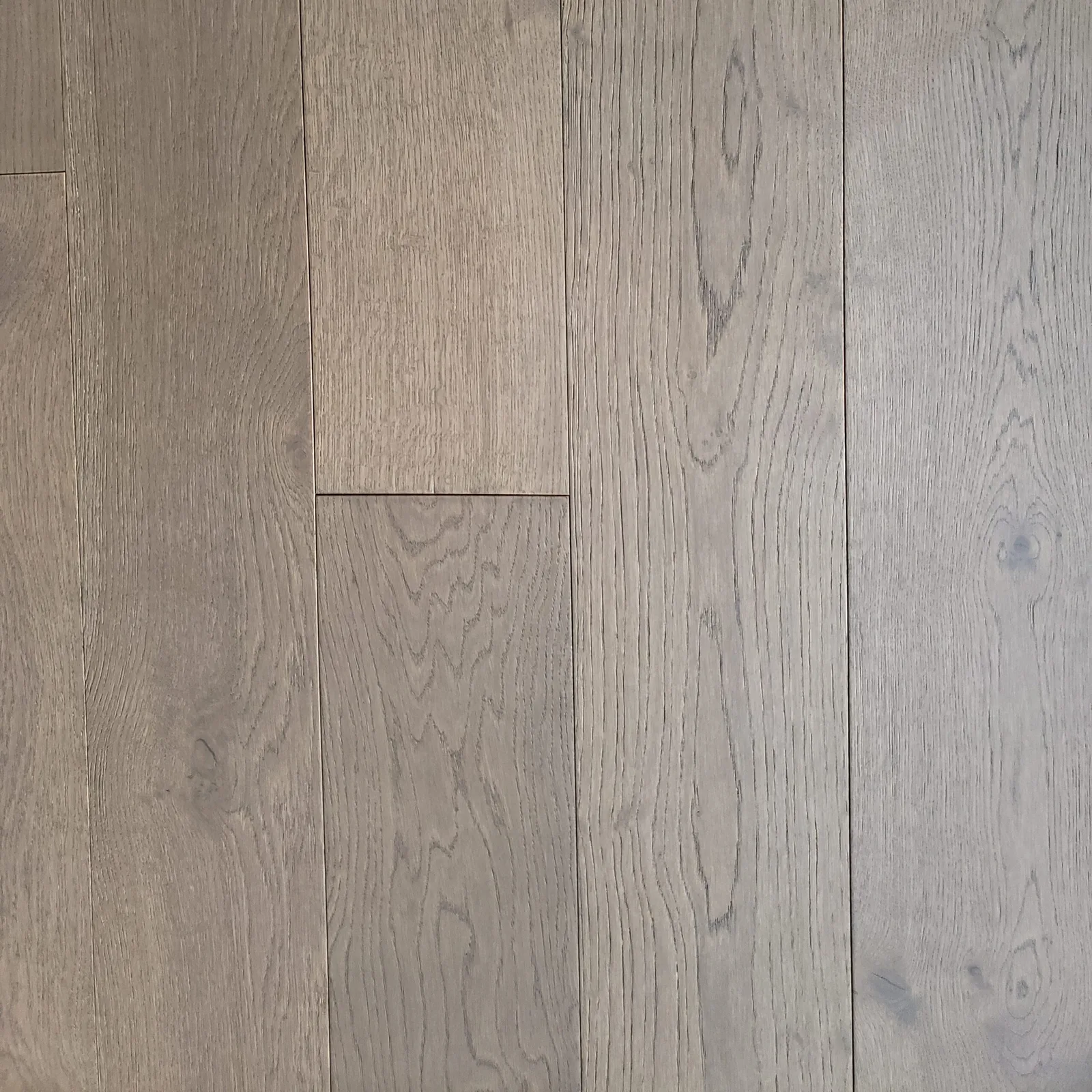Oak Eclipse