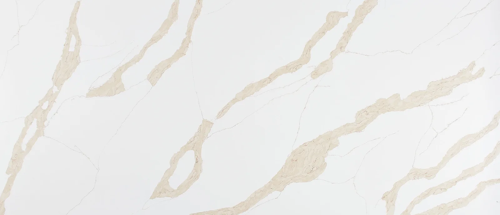 Calacatta Leon Gold