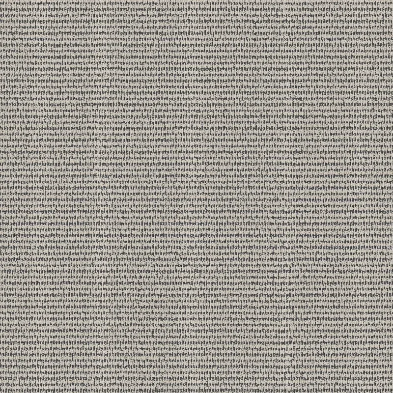 Laine Broadloom Carpet in Driftwood color, 12ft width, made from 100% PET polyester