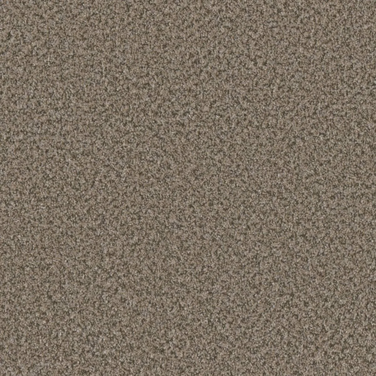 Brazen II 6260 Broadloom Carpet in Bayou color, woven polypropylene material, 12ft wide