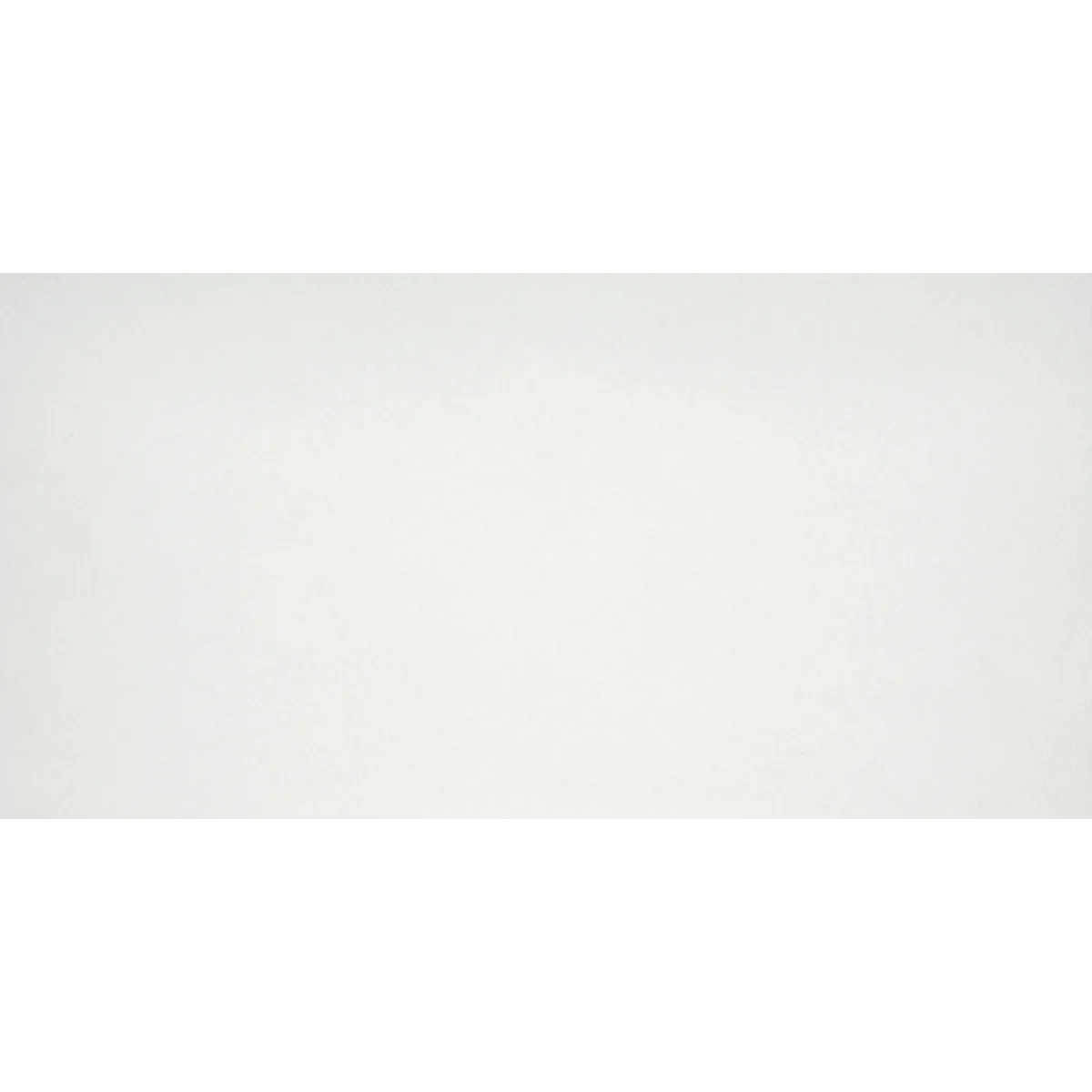 Citizen Matte Porcelain Tile in various colors and sizes, featuring a sleek matte finish suitable for modern interiors.