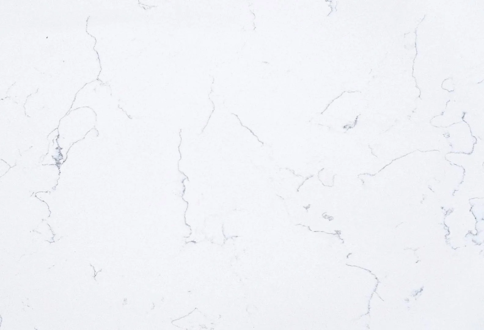 White Venatino