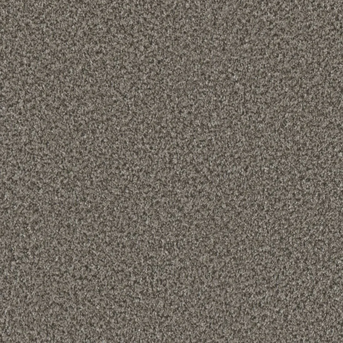 Brazen I 6240