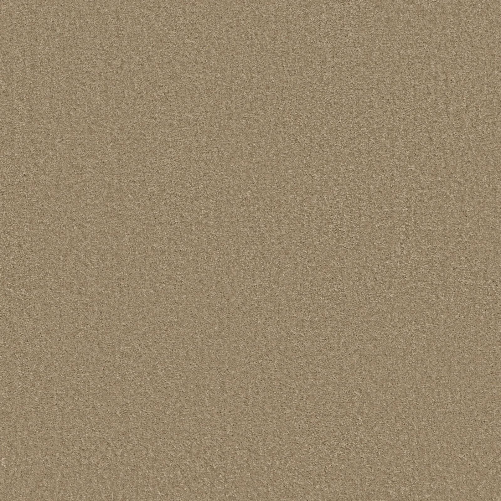 Sprinter Broadloom Carpet in Tree Trunk color, 12ft wide, made of 100% nylon material