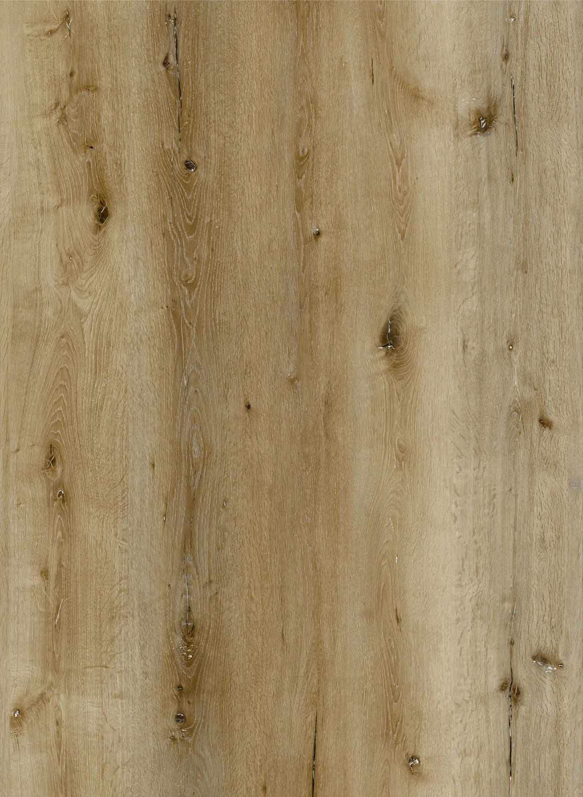 Chestnut