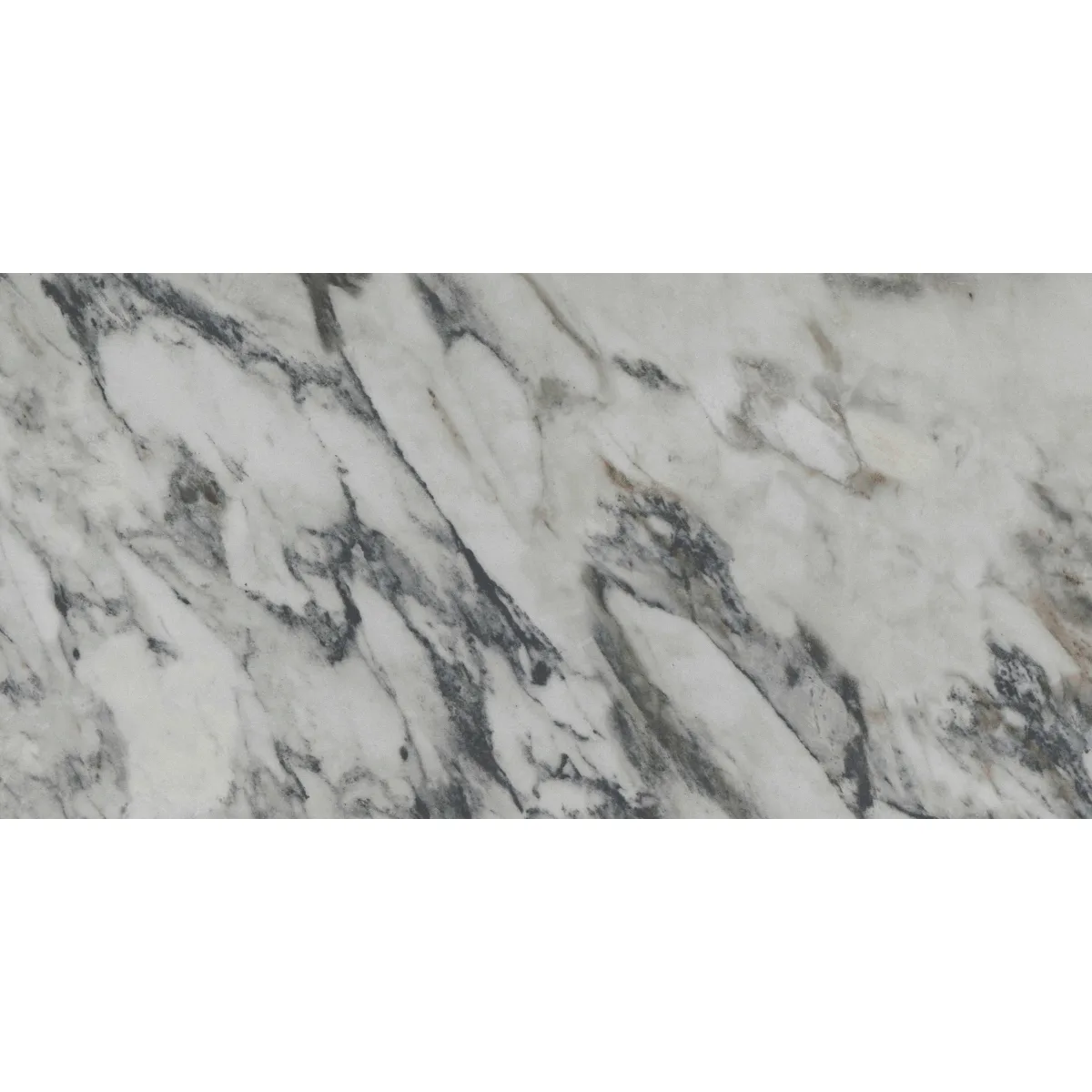 Parkview Rectified Polished