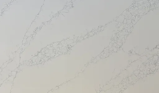 Silver Birch Quartz Countertop