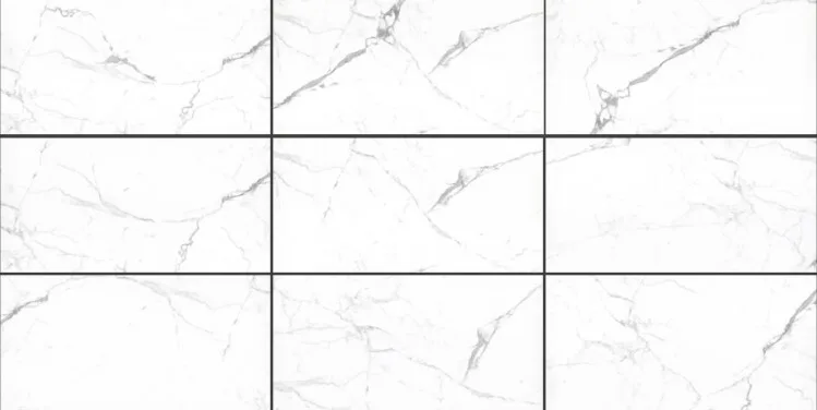 Nur Statuario 24" X 48"
