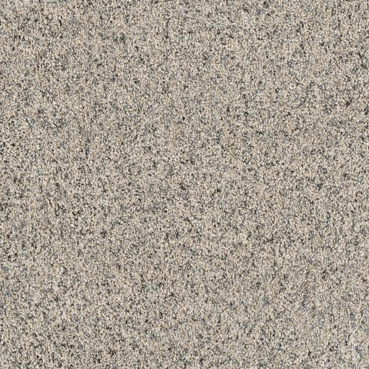 Parade 8265 Broadloom Carpet in Starry Sky color, woven polypropylene material, 12ft wide
