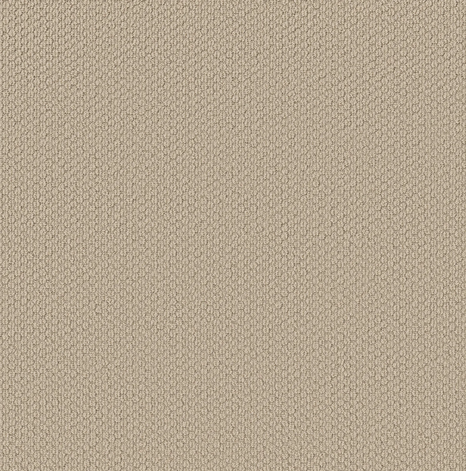 Cathedral Hill II Broadloom Carpet in Warm Hearth color, 12ft width, 100% nylon material