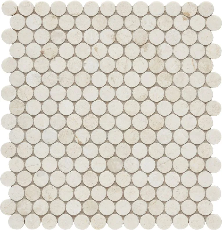 Terra Nova