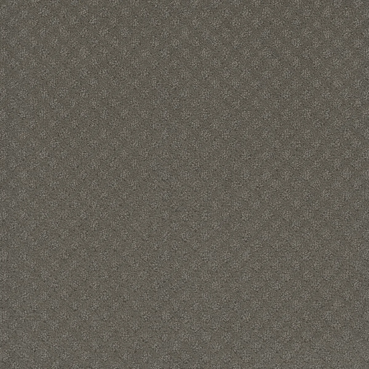 Capri 1428 Loop Pattern Carpet in Cloud Nine color, 12ft wide, made of woven polypropylene