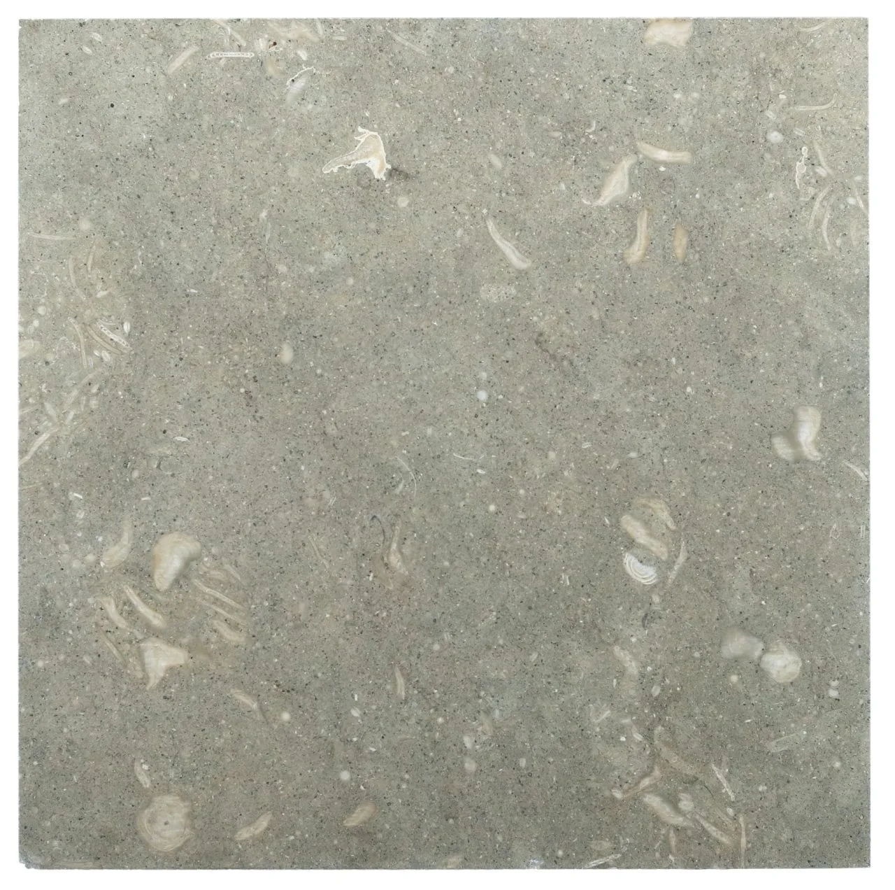 Rustic Green limestone tile in polished and tumbled finishes, available in 12x12, 18x18, 3x6, 4x4, 6x6 sizes