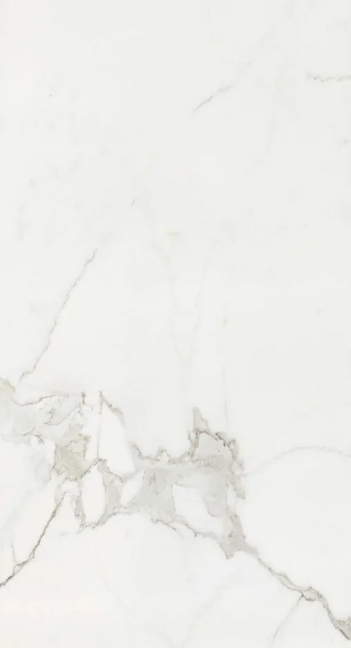 Timeless Calacatta