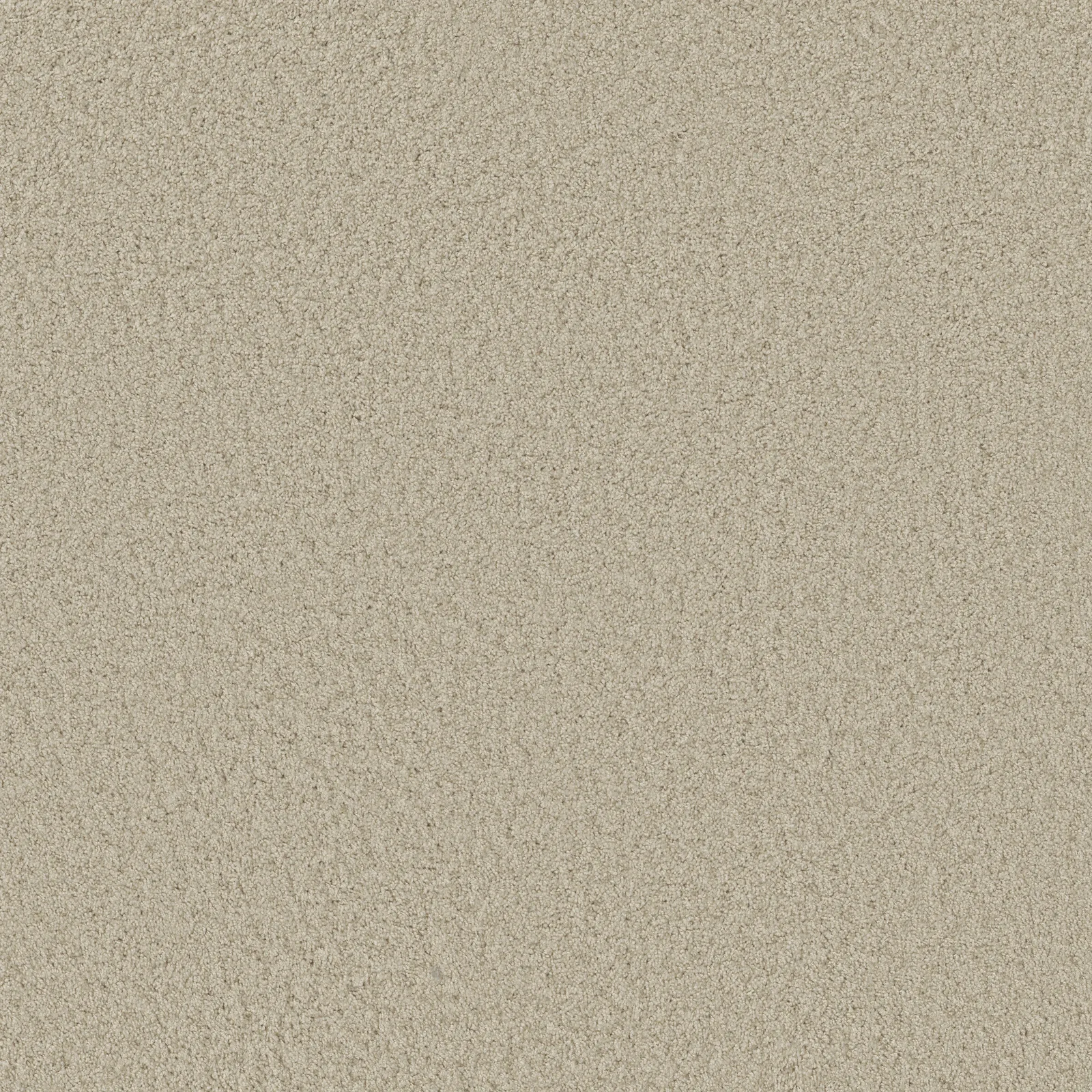 Parlay Broadloom Carpet in a variety of colors and textures made of 100% nylon, 12ft width, perfect for residential use.