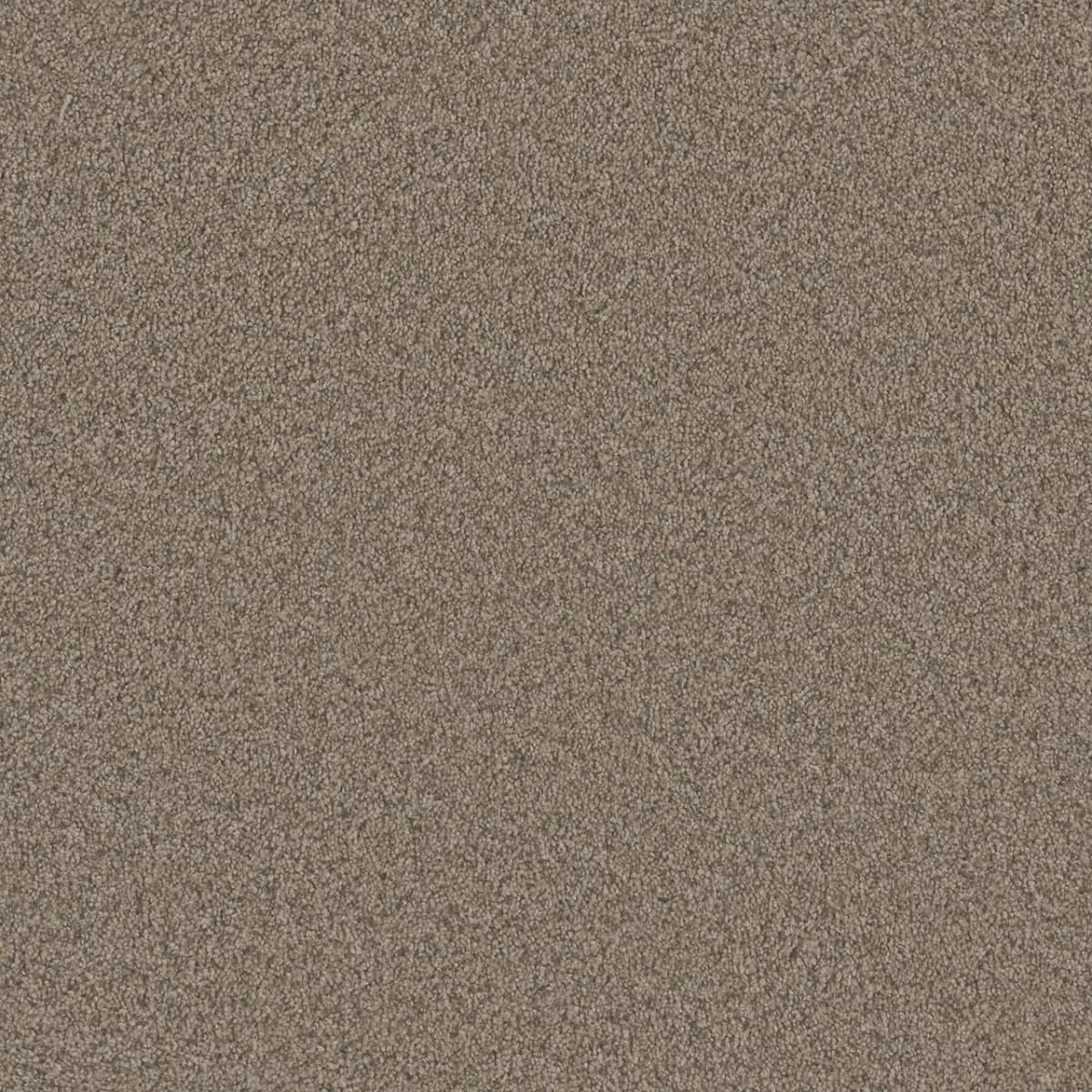 Blazer I 6340