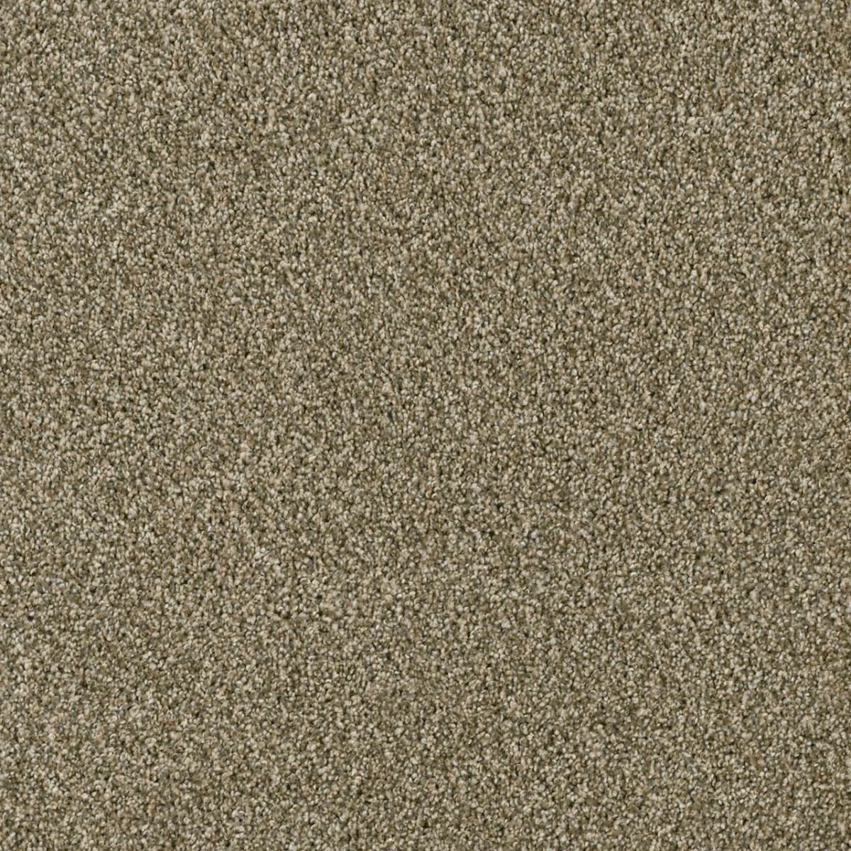 Acclaim 1324 Broadloom Carpet in colors Rhinestone, Sienna Sand, Midnight Shadow, woven polypropylene, 12ft wide