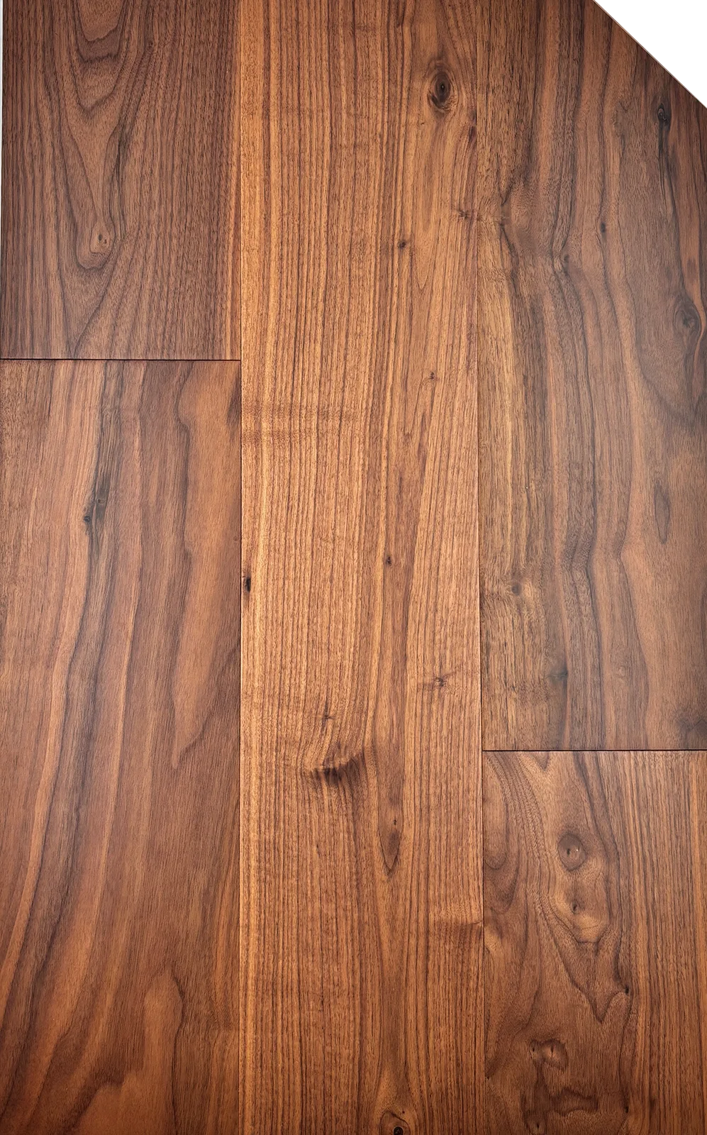 Walnut Noce