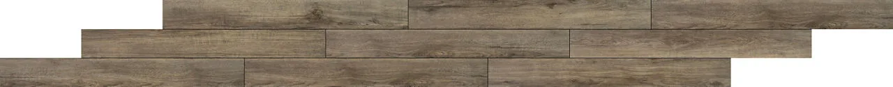 Daltile Adventuro Forest