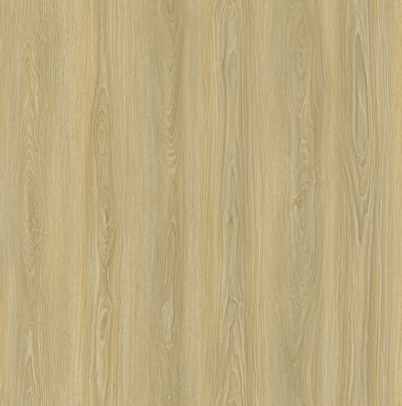 Harvest Oak