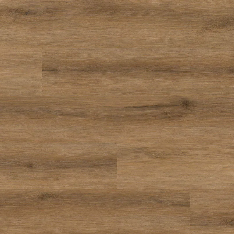 Studio - Swilcan