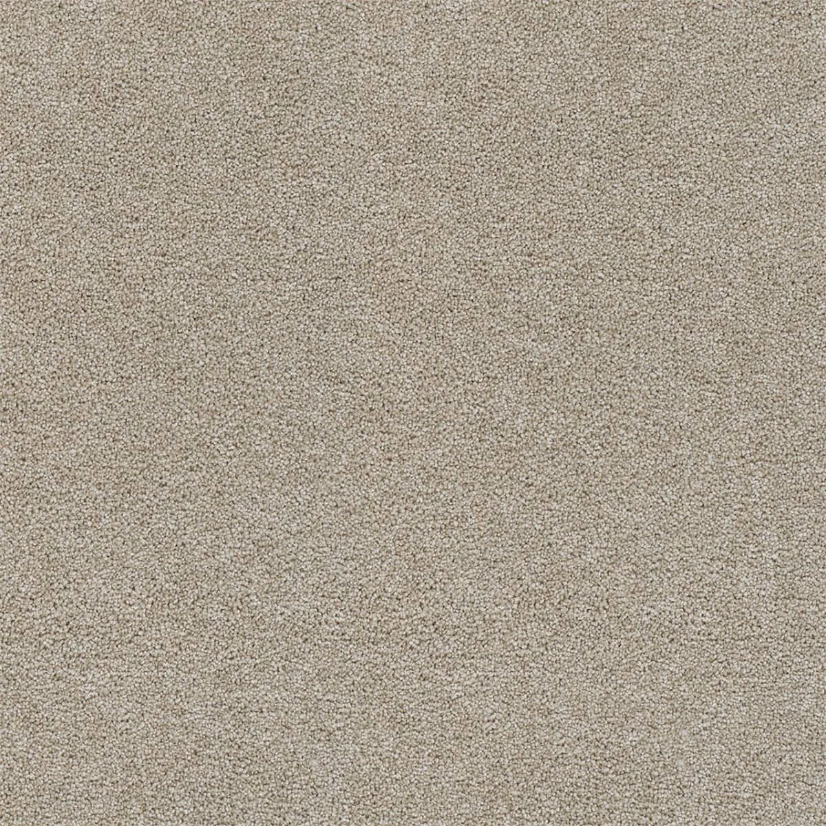 Rock Solid I 4345
