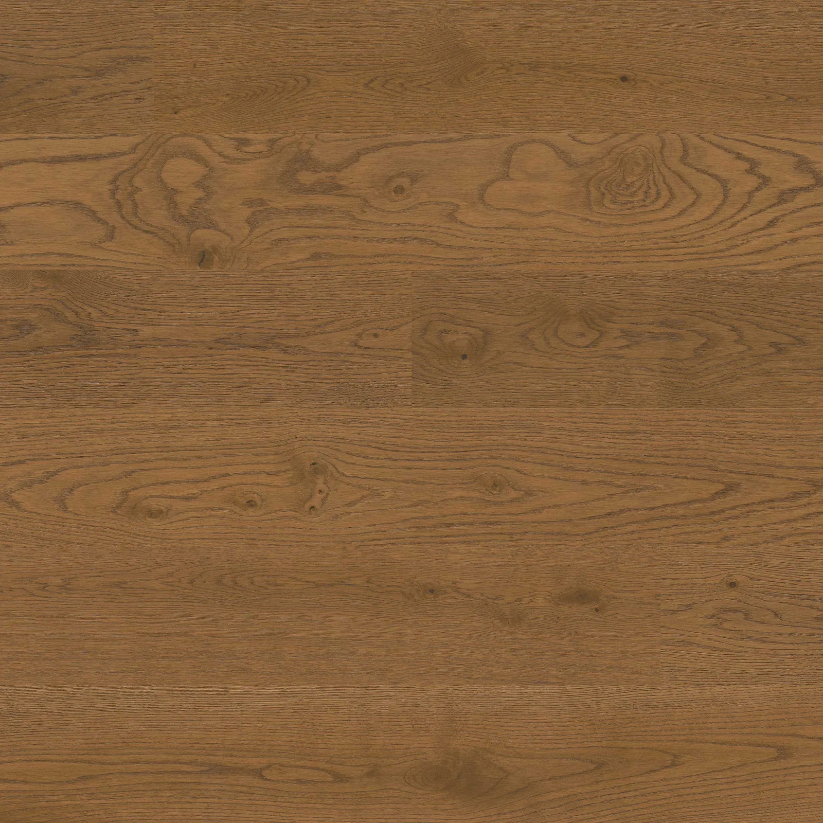 Mccarran - Scarborough Buff