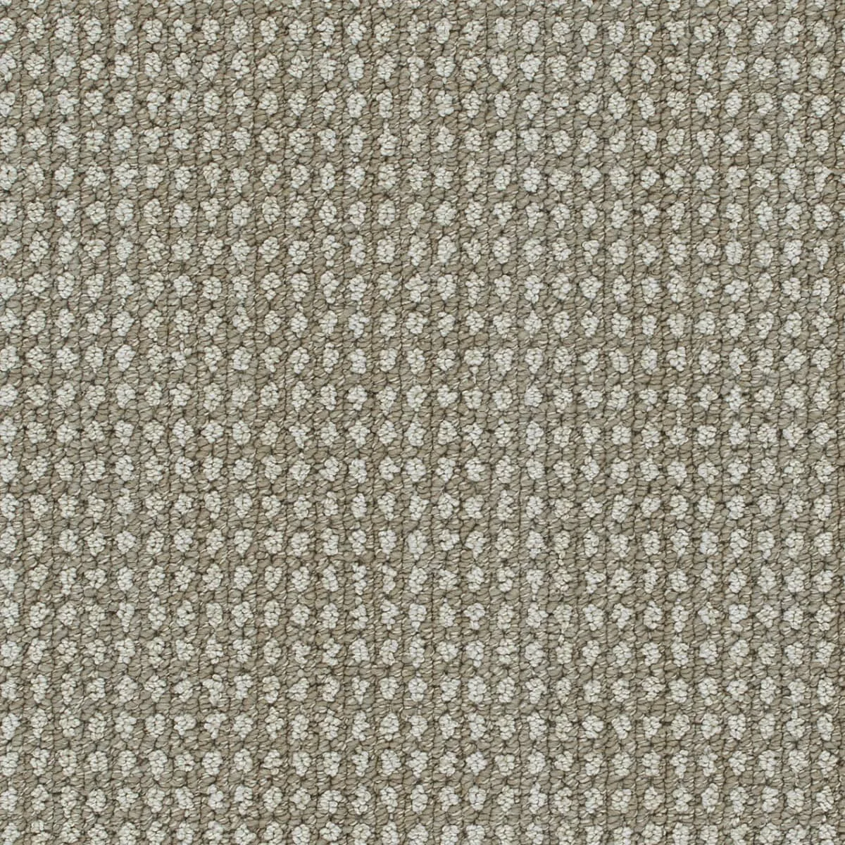Brunswick 8753 Loop Pattern Carpet in Cozy Night, 12ft wide, Woven Polypropylene