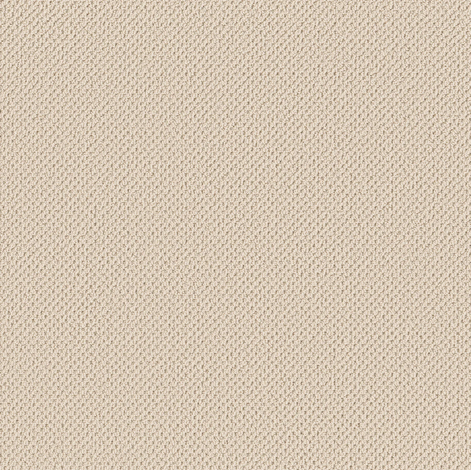 Gracious Broadloom Carpet in Lady In Gray, 100% Nylon, 12ft wide, residential flooring