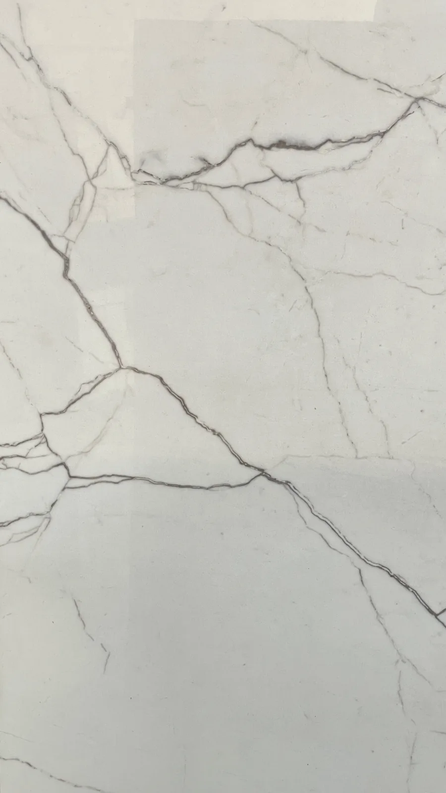 Elegance White