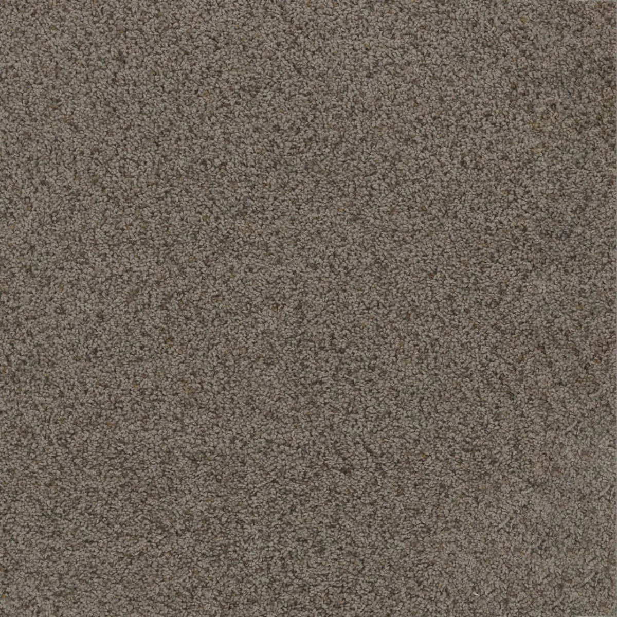 Toast Of The Town 5315 Broadloom Carpet in Oyster Bay color, made of woven polypropylene, 12ft wide