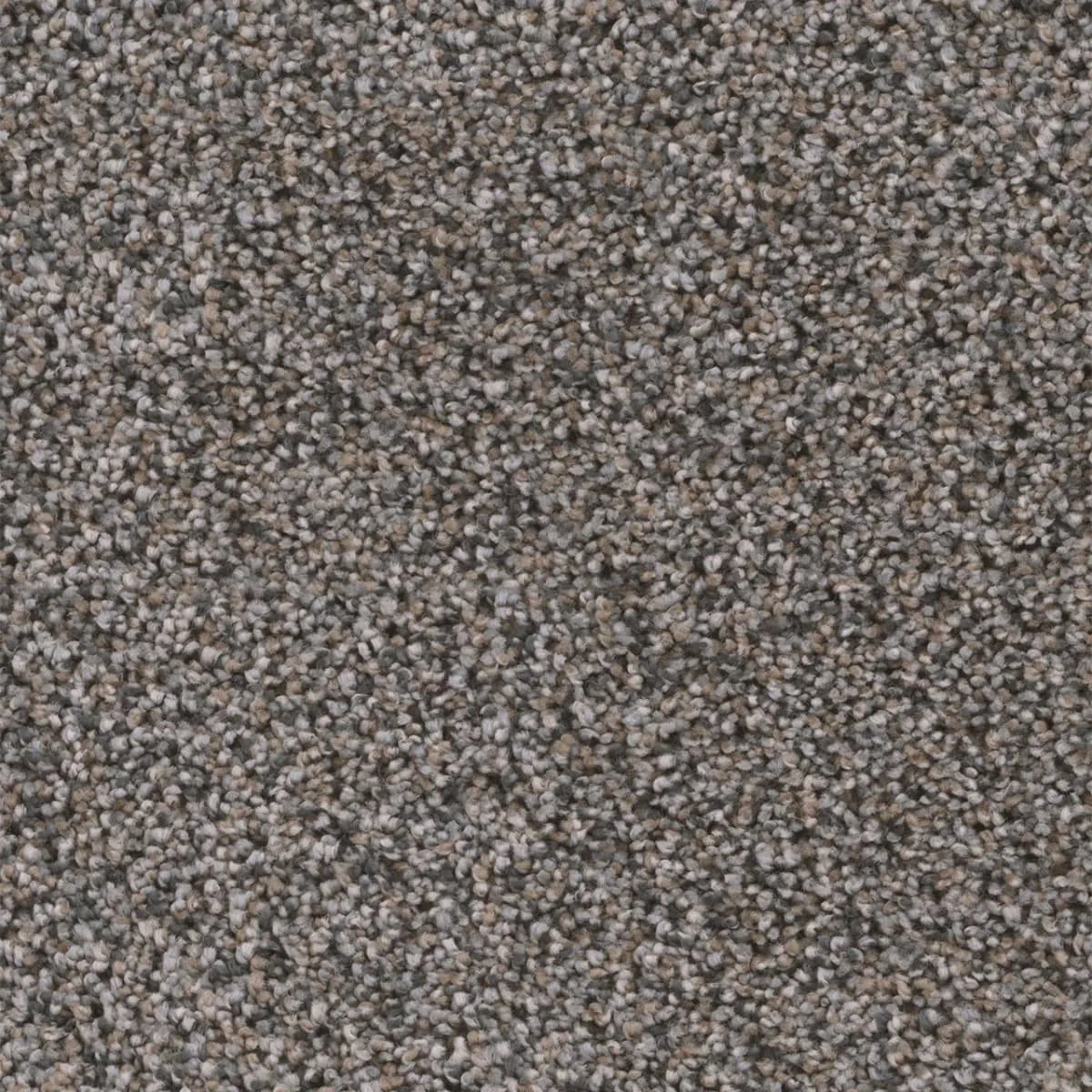 Reflections II 5365 Broadloom Carpet in Sparkling Dew, Woven Polypropylene, 12ft wide