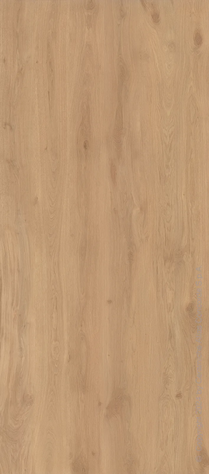 Icon Oak