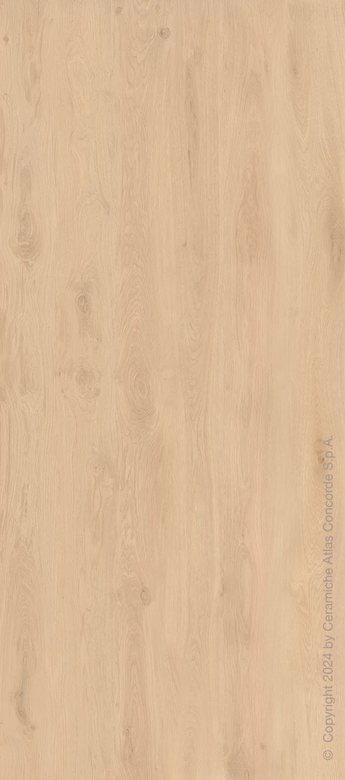 Bright Oak