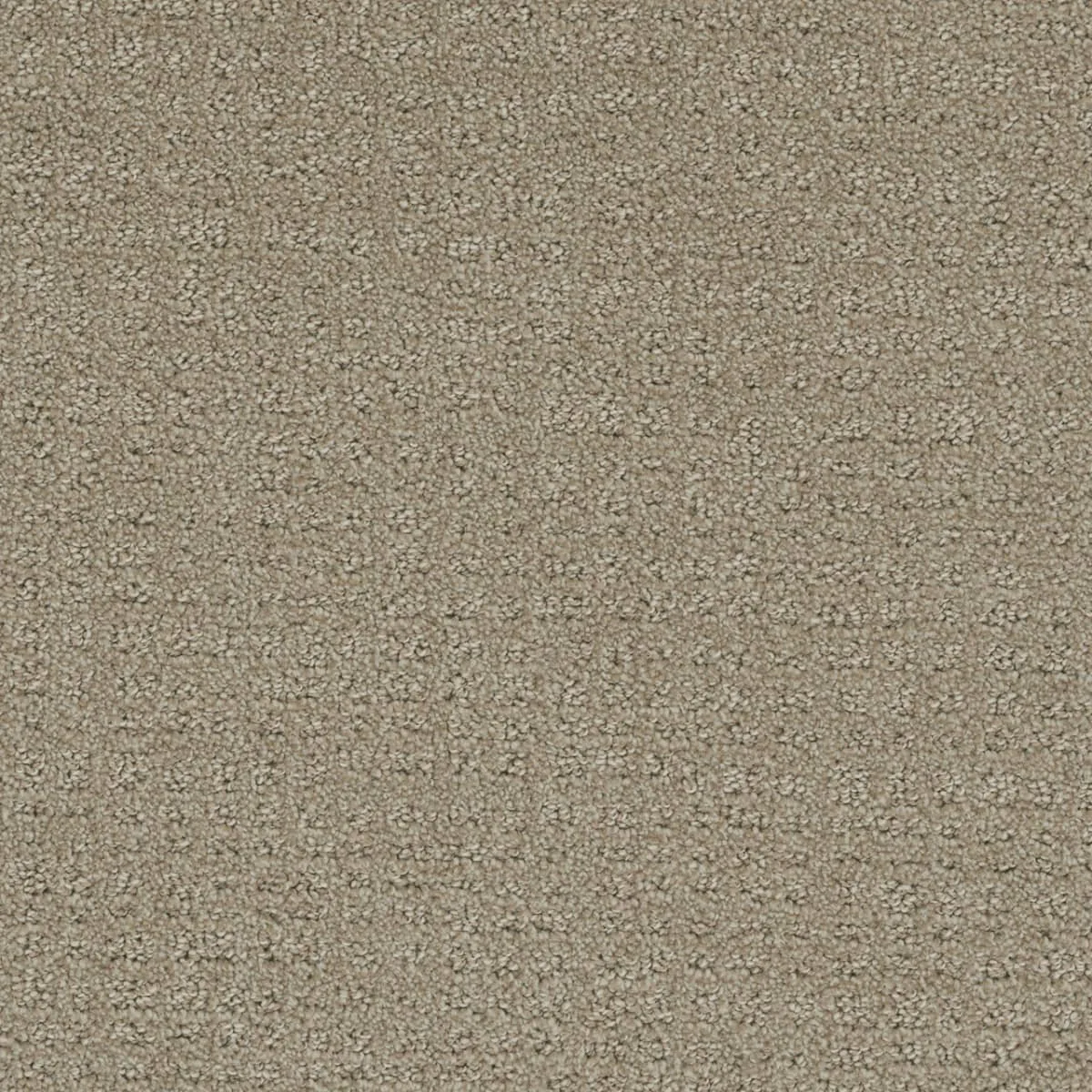Common Ground 2845 Broadloom Carpet in Snow Cap color, woven polypropylene material, 12ft wide