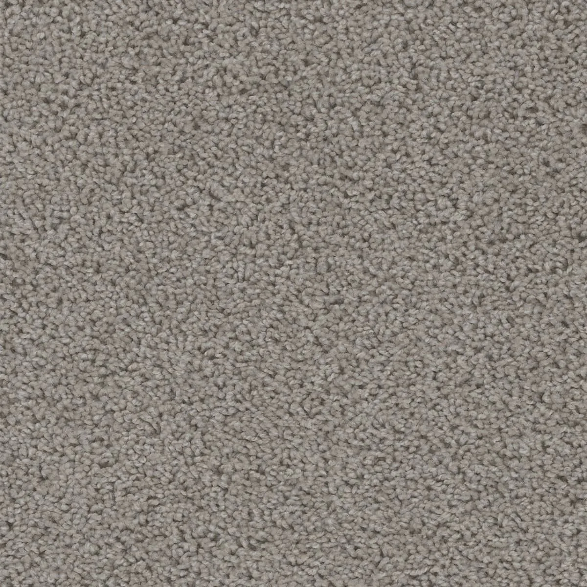 Sweepstakes 2200 Broadloom Carpet in Belle Grove color, textured woven polypropylene, 12ft wide.