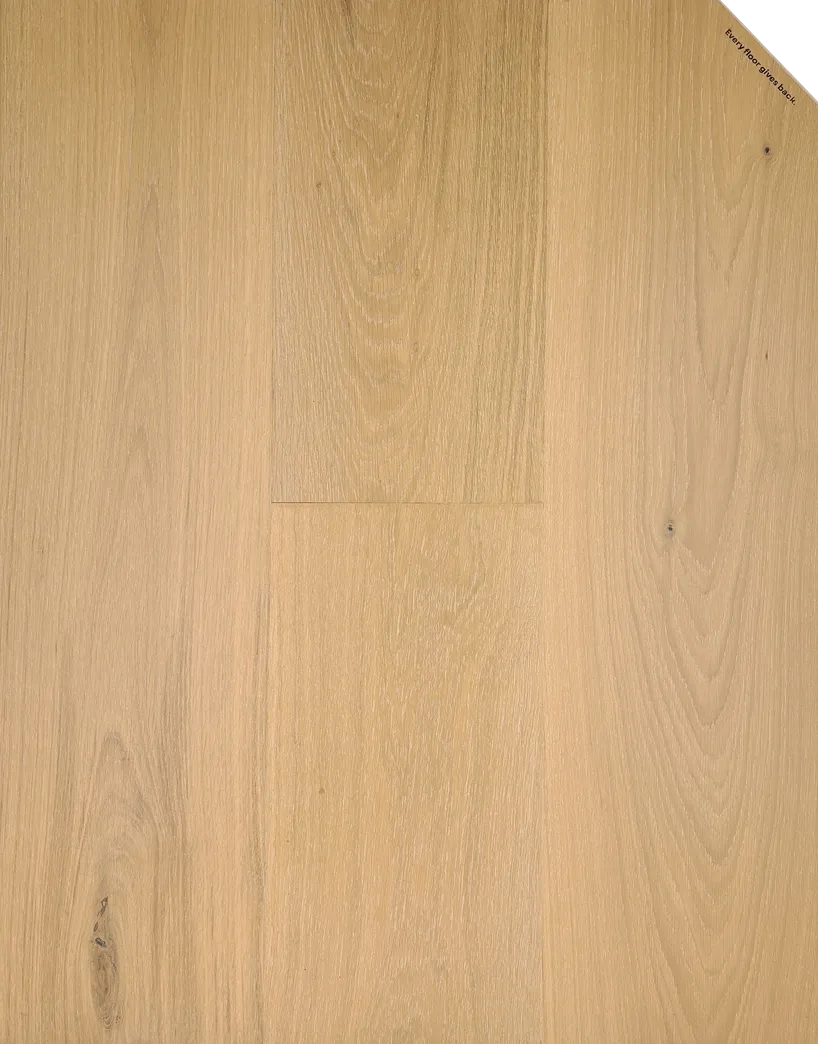Moonlight Cedar