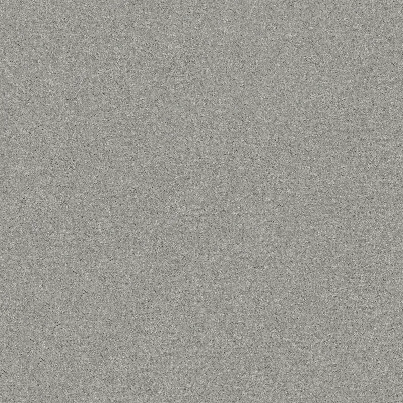 Attainable E9965 Broadloom Carpet in Urban Loft color, 12ft width, made of 100% PET fiber