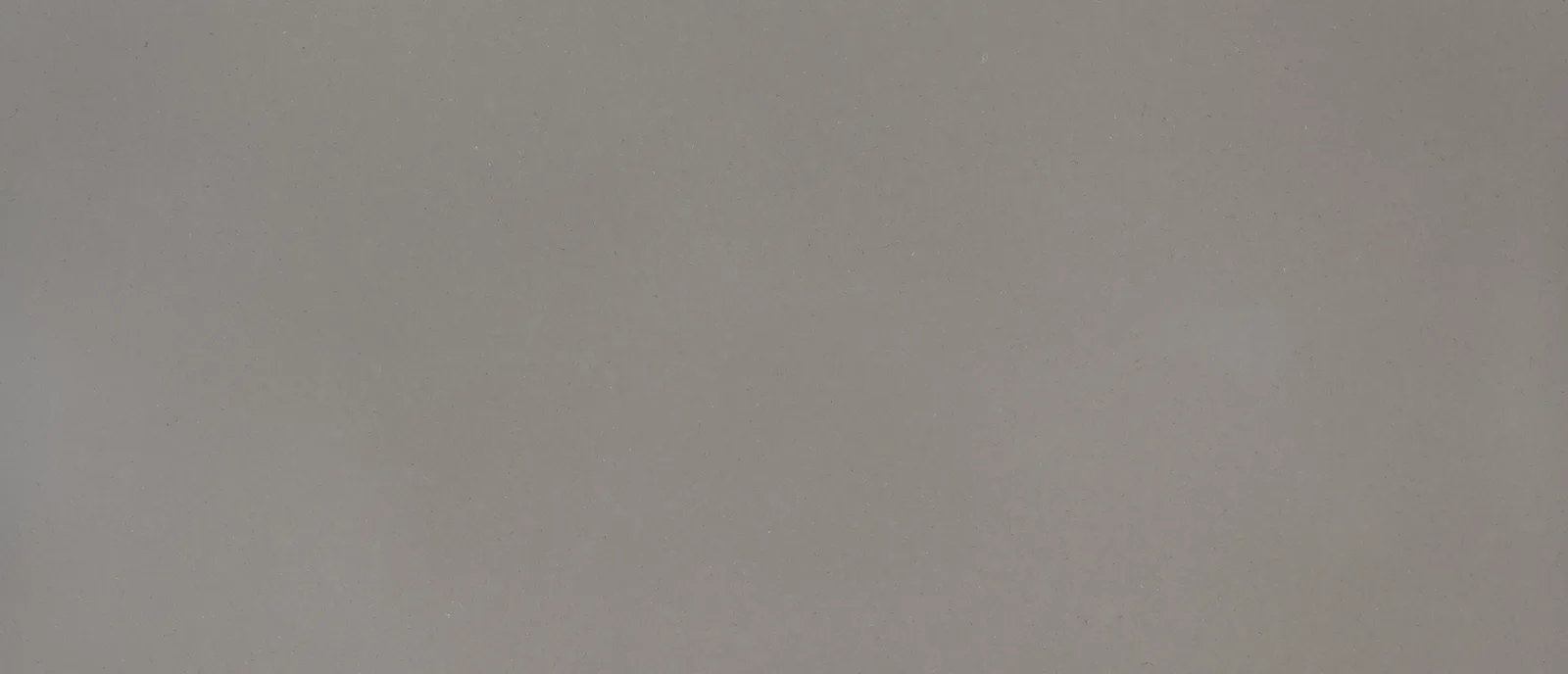 Fossil Gray